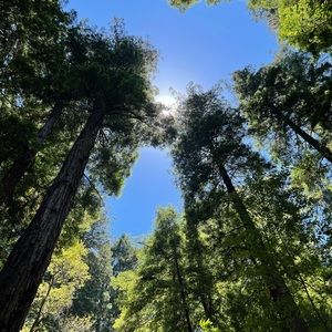 Meet your Posher, acooooo